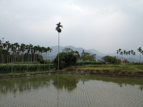 集集鎮